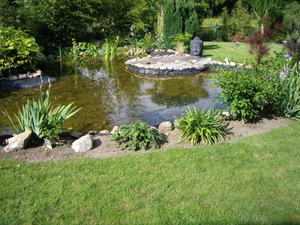 Bassin jardin – La Chapelle des Marais